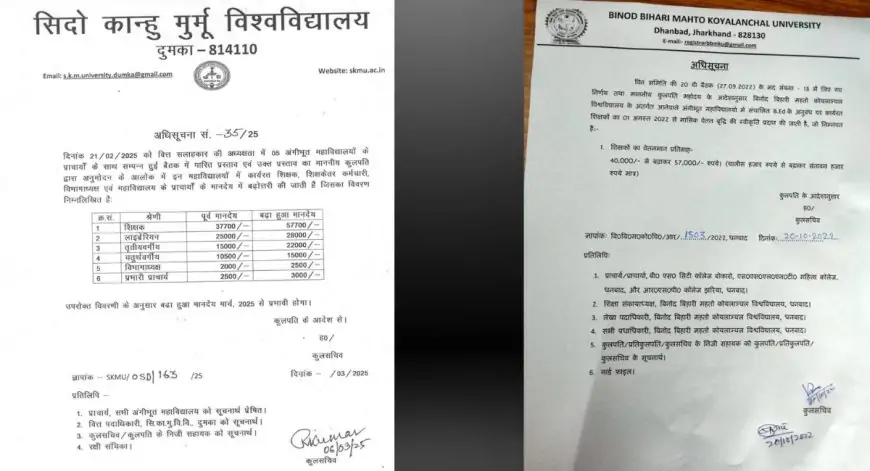 Kolhan Crisis: सरकारी कॉलेजों में B.Ed कोर्स पर संकट, शिक्षकों को 6 महीने से नहीं मिला वेतन!