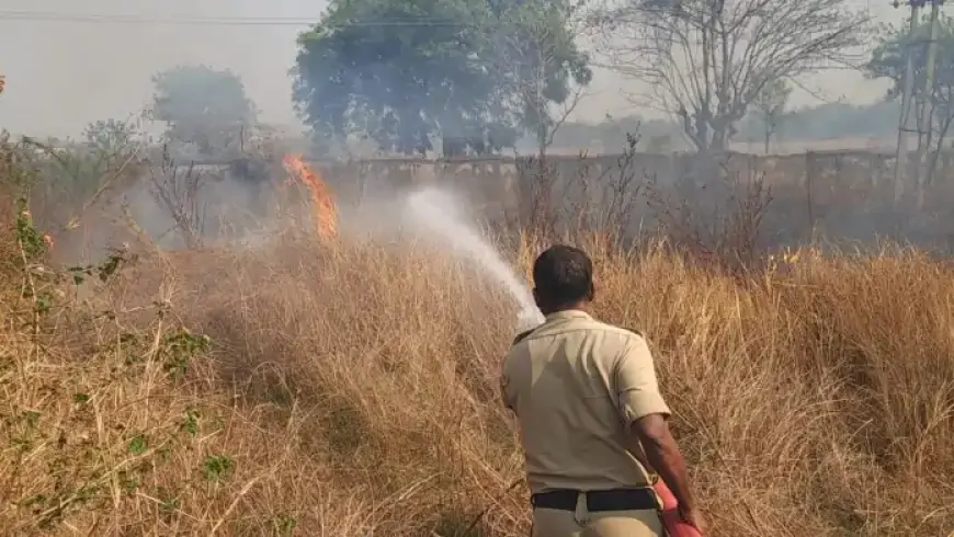 District Fire: कृषि विभाग के कार्यालय में अचानक लगी आग, मचा हड़कंप!