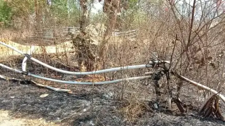 Jadugoda Fire: ग्रामीणों की बहादुरी से टला बड़ा संकट, वरना राख बन जाता बालीजुड़ी गांव