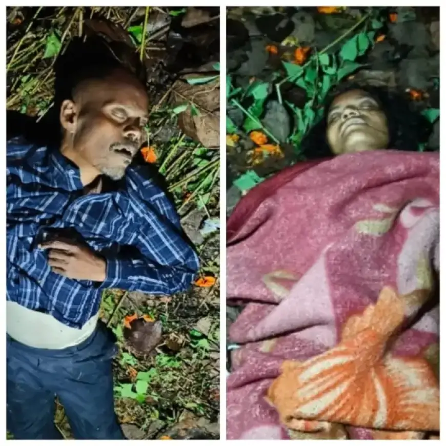 Majhgaon Accident: शादी से लौट रही बोलेरो अनियंत्रित होकर गड्ढे में पलटी, 3 की दर्दनाक मौत!