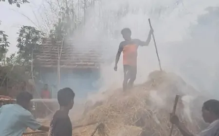 Chaibasa Fire: अचानक भड़की आग से गांव में मचा हड़कंप, बाल-बाल बचे लोग!