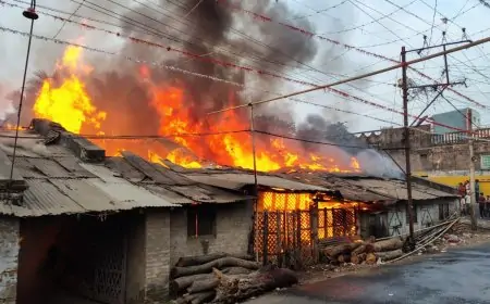 Rajmahal Fire: भयानक आग में जलकर खाक हुआ पूरा लकड़ी मिल, रहस्य बरकरार!