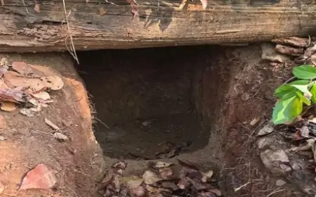 Jharkhand Encounter Secret: पहाड़ों के बीच छिपे थे 5 नक्सली बंकर, सुरक्षा बलों की बड़ी कार्रवाई!