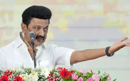 Tamil Nadu Protest: स्टालिन ने केंद्र को दी सीधी चुनौती, जानिए क्यों बनी है हाई-लेवल कमेटी!