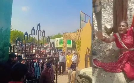 Ranthambhore Attack: त्रिनेत्र गणेश मंदिर जाते मासूम को बाघिन ने बनाया शिकार, दो घंटे तक पंजे में दबाए बैठी रही सुल्ताना