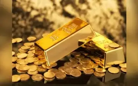 Ranchi Loot: सामने रखा 300 ग्राम सोना छोड़ 11 हजार लेकर भागा चोर, वजह जानकर आप चौंक जाएंगे!