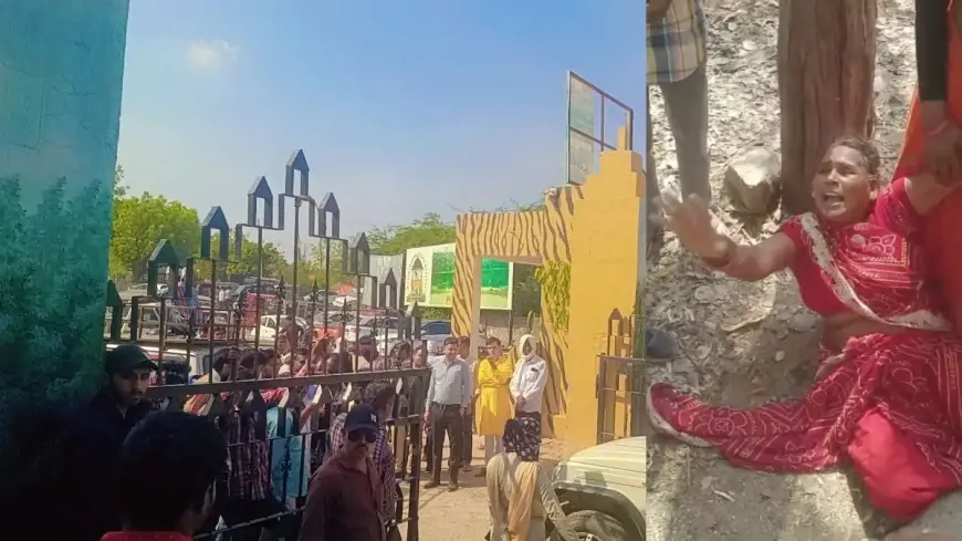Ranthambhore Attack: त्रिनेत्र गणेश मंदिर जाते मासूम को बाघिन ने बनाया शिकार, दो घंटे तक पंजे में दबाए बैठी रही सुल्ताना