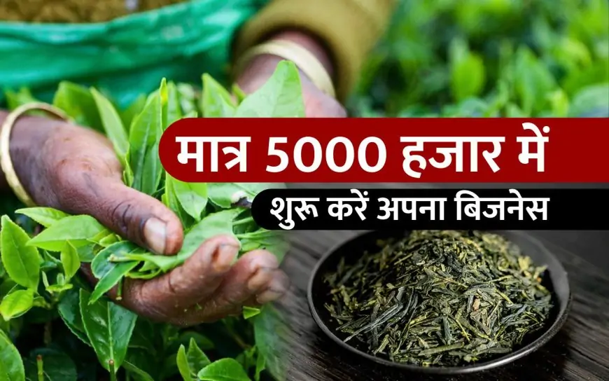India Business: सिर्फ 5000 रुपये में शुरू करें चायपत्ती का शानदार बिजनेस और हर महीने कमाएं ₹50,000 से भी ज्यादा!
