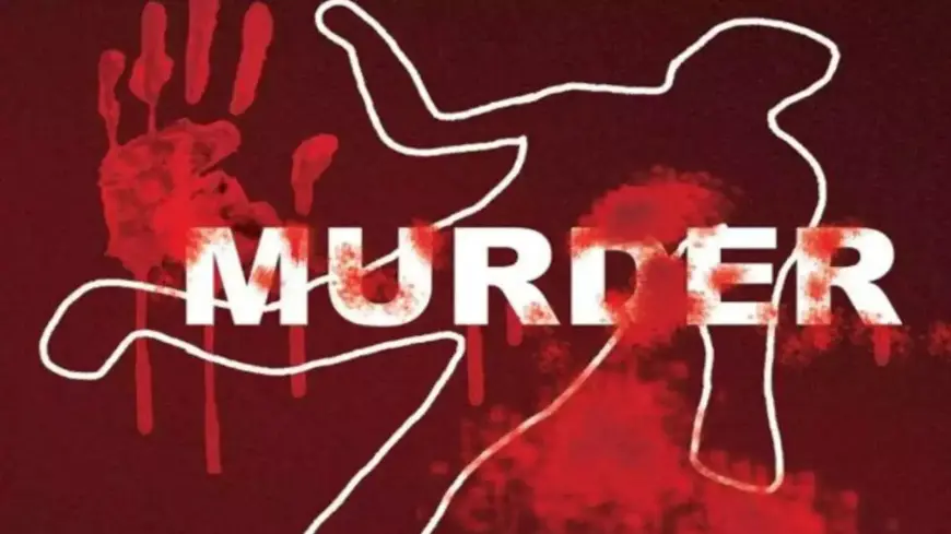 Bhilwara Murder: IITian इंजीनियर बना साइको किलर, दोस्तों और चौकीदार की बेरहमी से हत्या