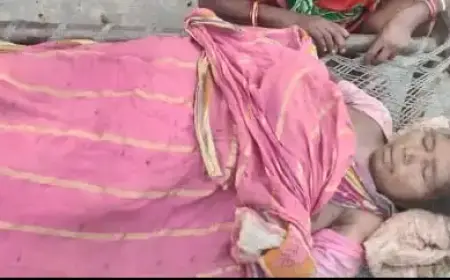 Chakulia Terror: जंगल में हाथी का आतंक - पत्ता तोड़ने गई महिला की दर्दनाक मौत, ग्रामीणों में आक्रोश!