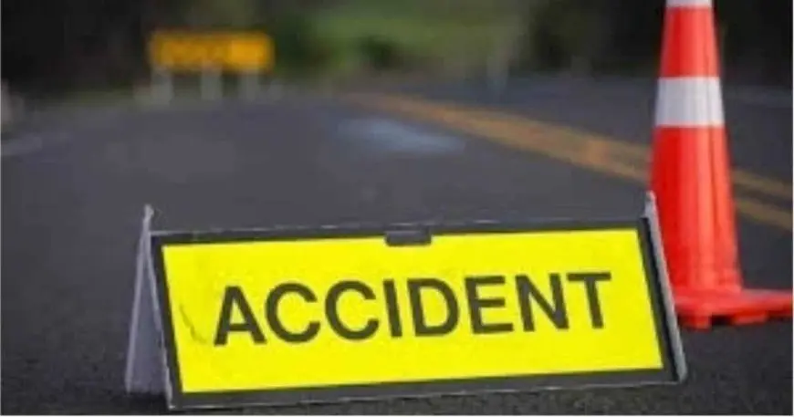 Hazaribagh Accident Mystery: सड़क किनारे बात कर रहे थे दो दोस्त, अचानक आई स्कॉर्पियो ने ले ली जान!