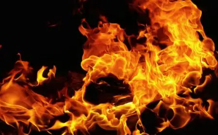 Kasturba Gandhi School Hostel Fire: झारखंड के लातेहार में बाल-बाल बचीं 25 छात्राएं