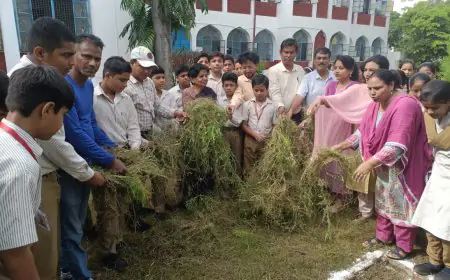 Aligarh Mosquito Day: एपीएस में वर्ल्ड मस्कीटो डे का आयोजन