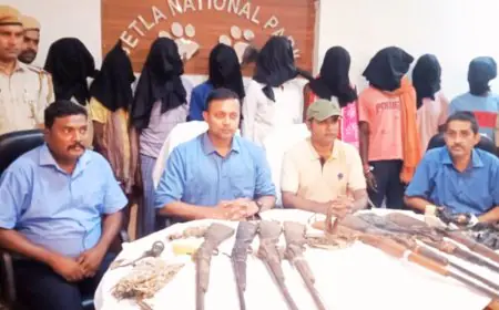 Hunting Attempt Failed: पीटीआर में 9 शिकारी गिरफ्तार, 8 बंदूक और बारूद बरामद