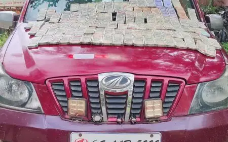 Palamu Cash Seizure : पलामू में लावारिस SUV से बरामद हुए 46 लाख रुपये कैश, पुलिस जांच में जुटी