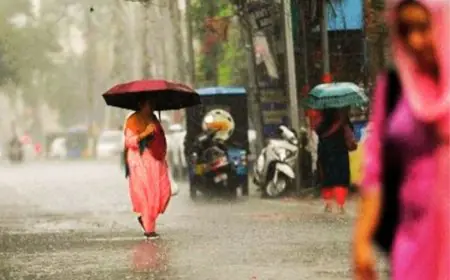 Heavy Rain Alert: झारखंड के 18 जिलों में मौसम विभाग का ऑरेंज अलर्ट, गरज-चमक के साथ होगी बारिश