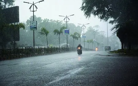 Jharkhand Weather Alert: झारखंड के 5 जिलों में अगले कुछ घंटों में बारिश, 29 से भारी बारिश का अलर्ट