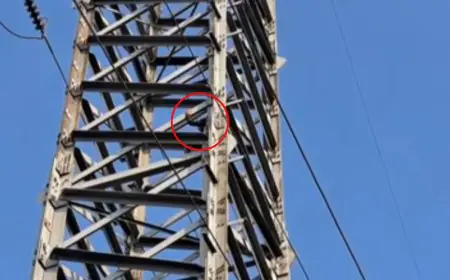 Jamshedpur Girl climbs Electric Pole: बॉयफ्रेंड से धोखा मिलने पर युवती हाईटेंशन पोल पर चढ़ी, सोनारी में हाईवोल्टेज ड्रामा