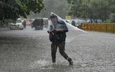 Jharkhand Mausam Update: झारखंड में फिर जोर पकड़ेगा मानसून, 7 जिलों में भारी बारिश का येलो अलर्ट