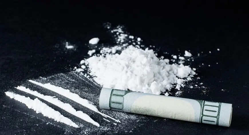 Drug Factory Busted in Bhopal : DRI ने पकड़ी 400 किलो कच्चे माल से चल रही एमडी ड्रग्स फैक्ट्री, दाऊद इब्राहिम का कनेक्शन उजागर
