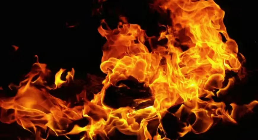 Kasturba Gandhi School Hostel Fire: झारखंड के लातेहार में बाल-बाल बचीं 25 छात्राएं