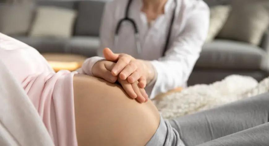 Giridih Minor Girl Mother : 13 साल की नाबालिग बच्ची बनी मां, गांव के युवक पर आरोप