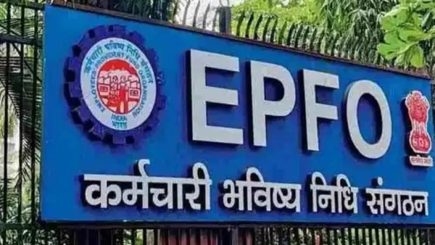 EPFO Death Relief Fund Hike : ईपीएफओ ने बढ़ाई डेथ रिलीफ फंड की राशि, अब मिलेंगे 15 लाख रुपये