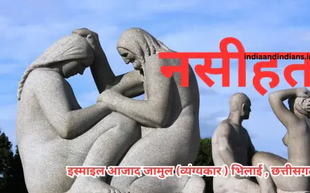 नसीहत -  इस्माइल आजाद जामुल (व्यंग्यकार ) भिलाई , छत्तीसगढ़