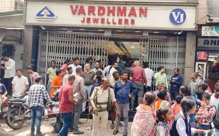 Sonari Daylight Robbery : जमशेदपुर के सोनारी वर्धमान ज्वेलर्स में दिनदहाड़े हथियारबंद लूट, दुकानदार गंभीर रूप से घायल