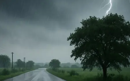 Jharkhand Monsoon : झारखंड में मानसून फिर से सक्रिय, रांची समेत कई जिलों में बारिश जारी