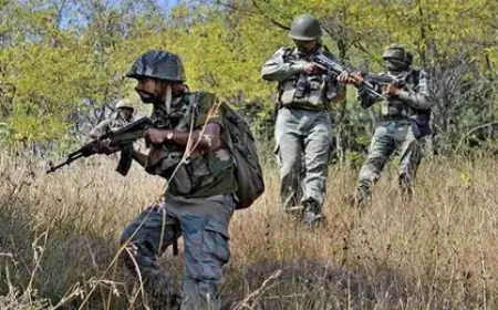 Deadly Encounter in Palamu : पलामू मुठभेड़, नक्सली ऑपरेशन में दो पुलिस जवान शहीद, एक घायल