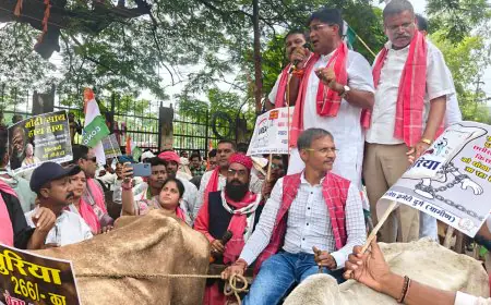 Kisan Andolan: यूरिया की कालाबाजारी से परेशान किसान, बैलगाड़ी रैली लेकर पहुंचे कलेक्ट्रेट, क्या सरकार चाहती है किसान बर्बाद हो जाएँ?