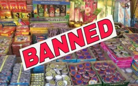 Firecrackers Ban: सुप्रीम कोर्ट ने कहा – पटाखों पर बैन पूरे देश में लागू हो, सिर्फ दिल्ली तक सीमित नहीं!