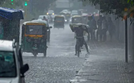 IMD Alert Jharkhand: झारखंड में मानसून एक्टिव, चार जिलों में भारी बारिश और वज्रपात का अलर्ट जारी!