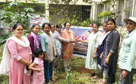 Graduate College Initiative : ग्रेजुएट कॉलेज में लगाए गए औषधीय पौधे – लेमन ग्रास और तुलसी से मिलेगा स्वास्थ्य लाभ!