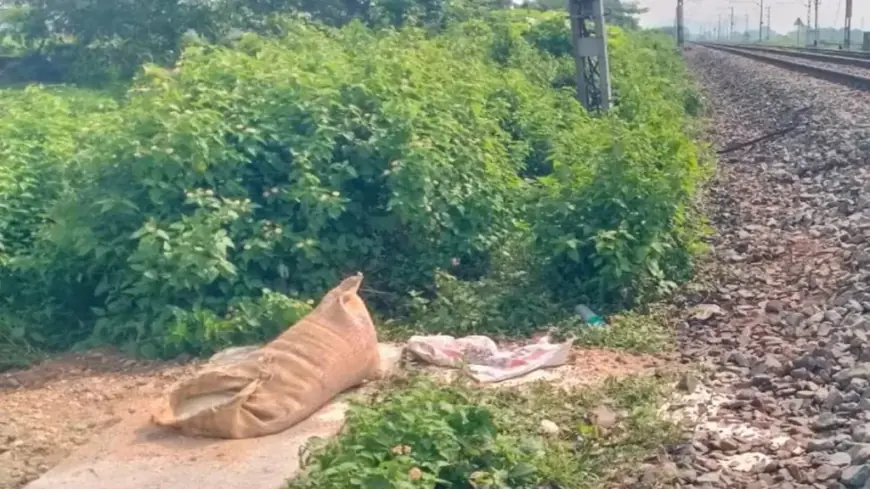 Jharkhand Shock: मालगाड़ी से लाखों का चावल चोरी, फिर सक्रिय हुआ गिरोह!