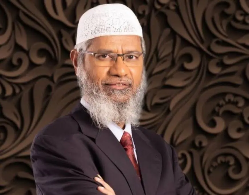 Zakir Naik HIV AIDS News : पाकिस्तानी रिपोर्टर फातिमा खान ने उड़ाई जाकिर नाइक की एचआईवी रिपोर्ट, पाकिस्तान से भी लाखों व्यूज – क्या है सच्चाई?