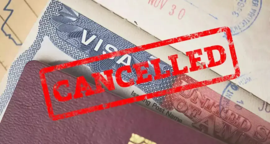 America visa cancel : भारत के टॉप अधिकारियों पर बड़ा अमेरिकी एक्शन, ड्रग्स तस्करी के आरोपों से मचा हड़कंप