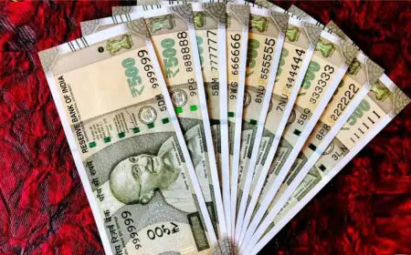DA Hike: केंद्रीय कर्मचारियों और पेंशनभोगियों के लिए दशहरा से पहले बड़ा तोहफा, महंगाई भत्ते में 3% वृद्धि