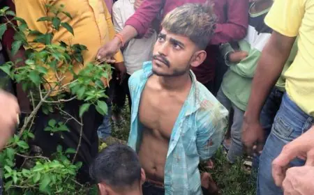 Giridih Justice: ग्रामीणों ने मवेशी चोरों को 'रंगेहाथ' पकड़ा! रस्सी से बांधकर की धुनाई, वाहन जब्त