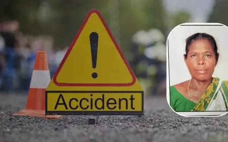 Chakulia Accident : बकरी चरा रही बुजुर्ग महिला को तेज रफ्तार बाइक ने रौंदा! टक्कर मारकर 'फरार' हुआ अनजान सवार