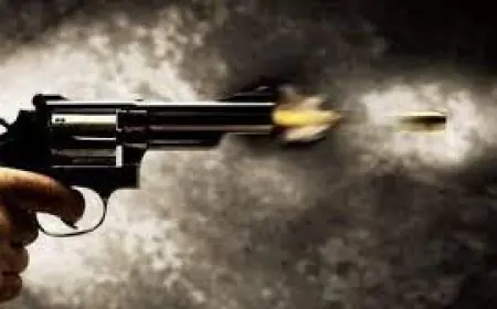 Ulidih Firing: एनएच-33 पर 30-40 युवकों का ताबड़तोड़ हमला! रियल एस्टेट कारोबारी के दफ्तर में फायरिंग, रंगदारी का सनसनीखेज आरोप