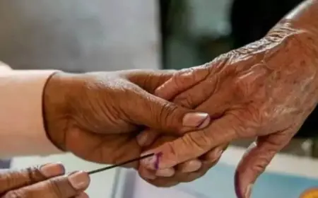 Bihar Election: बिहार चुनाव में 100 साल के 14,000 मतदाता! बुजुर्गों की बड़ी फौज बनेगी 'गेम चेंजर'? युवाओं और अनुभवी वोटर्स के बीच जंग
