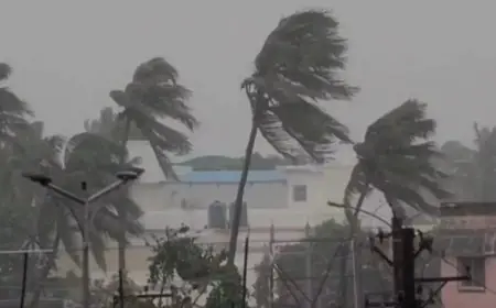 Jharkhand Weather : मौसम ने ली करवट! साइक्लोनिक सर्कुलेशन से झारखंड में अगले 48 घंटे तक तेज बारिश का येलो अलर्ट, रांची में 24.3 मिमी वर्षा दर्ज