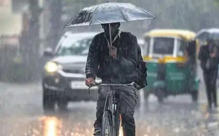 Jharkhand Weather Twist: मौसम का मिजाज बदला! झारखंड में वज्रपात और बारिश का अलर्ट, गुलाबी ठंड देगी दस्तक, सामान्य से दोगुनी वर्षा क्यों?