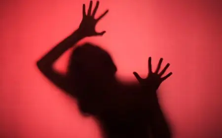 Jamshedpur Shame: उलीडीह में उत्पीड़न! विवाहिता से लगातार दुष्कर्म का सनसनीखेज मामला, आरोपी बापी दास के डर से चुप रही पीड़िता, न्यायालय के आदेश पर FIR