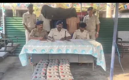 West Singhbhum Nab: टावर की चोरी से सेंसर बजा! पश्चिम सिंहभूम में एयरटेल टावर से 24 बैटरी लेकर भाग रहे बिहार के 3 अंतर्राज्यीय चोर गिरफ्तार, एसपी को सूचना मिलते ही सेरेंगसिया घाटी पर लगाया एंटी क्राइम नाका, चोरी का सामान और पिकअप वाहन जब्त!