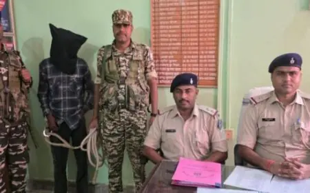 Palamu Atrocity: पोते ने काटा गला! पलामू के चैनपुर में जमीन-पानी विवाद में खून का रिश्ता कलंकित, शौचालय में दादा की कुल्हाड़ी से बेरहमी से हत्या, 19 वर्षीय मुख्य आरोपी शमशेर अंसारी गिरफ्तार, पहले ही जेल गए हैं पिता-मां-बहन!