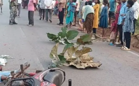 Chaibasa Collision: टक्कर से मौत! पश्चिमी सिंहभूम में मंगलवार तड़के सड़क हादसा, अज्ञात वाहन की चपेट में आने से 30 वर्षीय मोटरसाइकिल सवार आशीष लागुरी की मौके पर ही मौत, गुस्साए ग्रामीणों ने किया सड़क जाम, पुलिस ने CCTV फुटेज खंगालकर त्वरित कार्रवाई का दिया भरोसा!