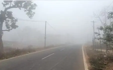 Jharkhand Mausam: कोल्हान में छाए आंशिक बादल, चाईबासा रहा सबसे गर्म (34.4°C), लातेहार में सबसे कम न्यूनतम तापमान (16.5°C), गुरुवार को रांची समेत दक्षिणी और मध्य भागों में बदलेगा मौसम, क्या यह बदलाव बारिश की ओर इशारा कर रहा है?